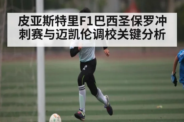 皮亚斯特里F1巴西圣保罗冲刺赛与迈凯伦调校关键分析